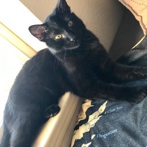 Meet your Posher, Audrey